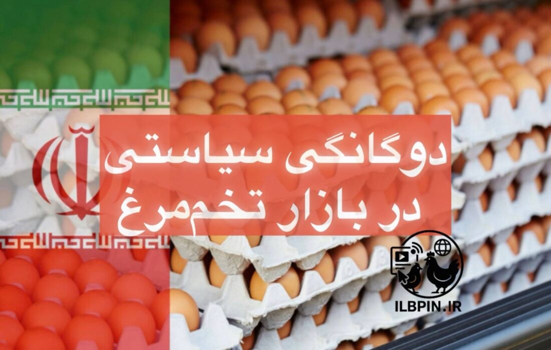 دوگانگی سیاستی در بازار تخممرغ