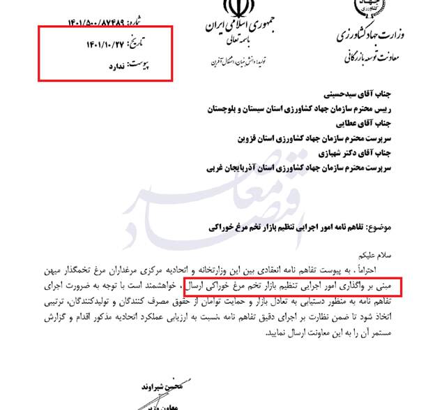 ابهام در صادرات مرغ و تخممرغ ابهام در صادرات مرغ و تخممرغ