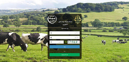 افزایش برخوردها با فساد در سامانه بازارگاه