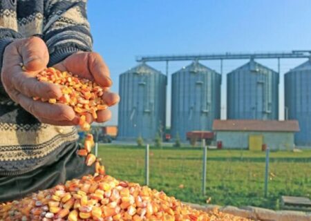 قدردانی صنعت طیور کشور از معاونت اقتصادی سازمان اطلاعات سپاه