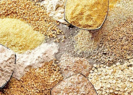 سهمیه دی ماه نهاده‌های دامی به زودی در بازارگاه بارگذاری می‌شود.