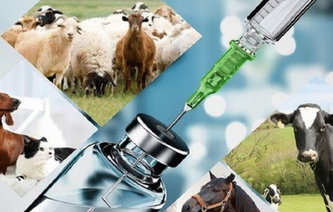 پژوهشگران ایرانی جایگزین طبیعی آنتی‌بیوتیک ساختند.