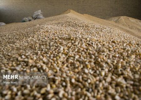 تخصیص به‌موقع ارز، شرط تامین به‌موقع کالاهای اساسی