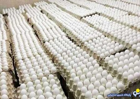 گرانی در مرغ و تخم مرغ پایان ندارد!