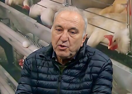 دولت گلوگاه نهاده را رها کرده است.