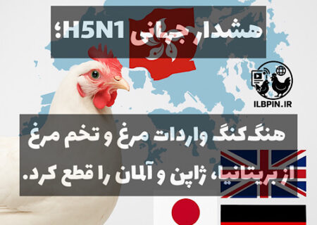 هنگ‌کنگ واردات مرغ و طیور از بریتانیا، ژاپن و آلمان را متوقف کرد؛ هشدار درباره شیوع جدید H5N1