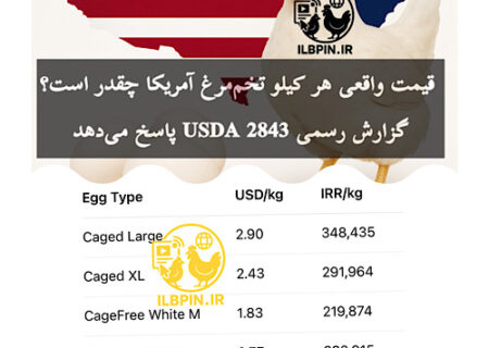 تحلیل ILBPIN از گزارش USDA: قیمت واقعی هر کیلو تخم‌مرغ در درب مرغداری آمریکا چقدر است؟