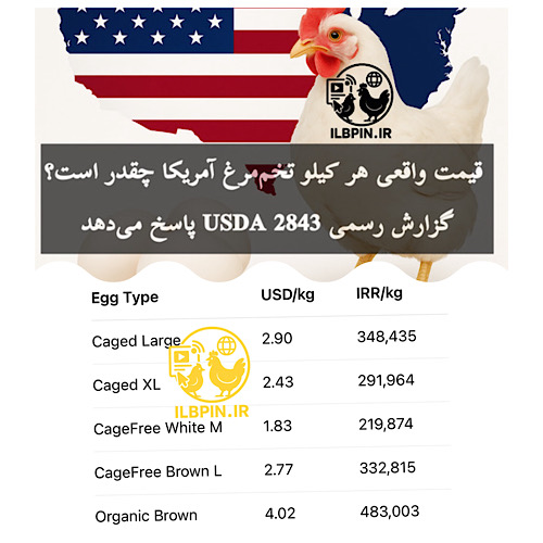 تحلیل ILBPIN از گزارش USDA: قیمت واقعی هر کیلو تخممرغ در درب مرغداری آمریکا چقدر است؟