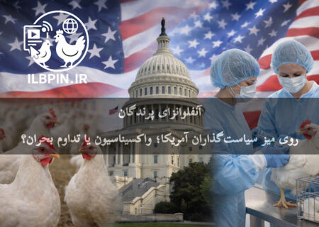 فشار سناتورهای آمریکا برای واکسیناسیون طیور؛ واکسن آنفلوانزای پرندگان به اولویت ملی تبدیل شد