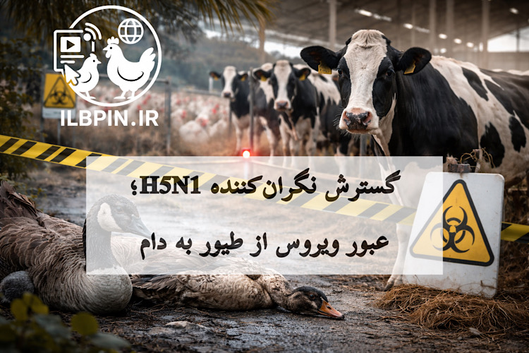 H5N1 از حیاتوحش به گاوداری در ویسکانسین انتقال یافت — USDA تأیید کرد