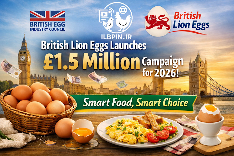 کمپین ۱.۵ میلیون پوندی «Smart Food, Smart Choice» برای سال ۲۰۲۶ توسط British Lion Eggs کلید خورد