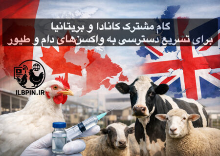 همکاری کانادا و بریتانیا برای تسهیل صدور مجوز واکسن‌های دامی