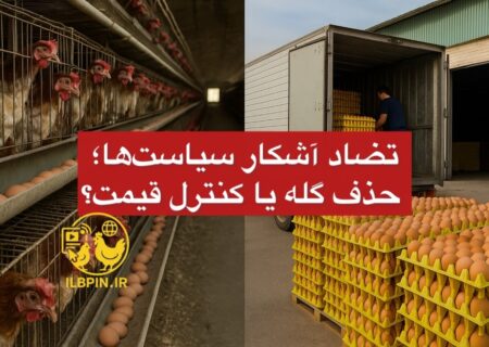 تضاد آشکار سیاست‌ها؛ حذف گله یا کنترل قیمت؟