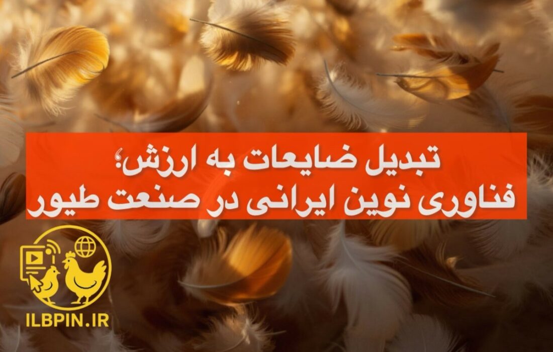 توسعه فناوری تبدیل پر مرغ به خوراک دام توسط دانشمندان ایرانی