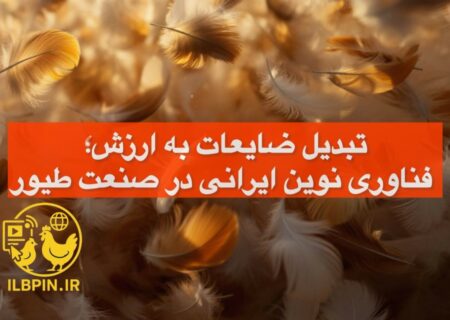 توسعه فناوری تبدیل پر مرغ به خوراک دام توسط دانشمندان ایرانی
