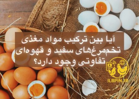 آیا بین ترکیب مواد مغذی تخم‌مرغ‌های سفید و قهوه‌ای تفاوتی وجود دارد؟