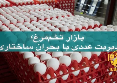 نوسان مزمن بازار تخم‌مرغ؛ مسئله‌ای فراتر از مازاد و کمبود