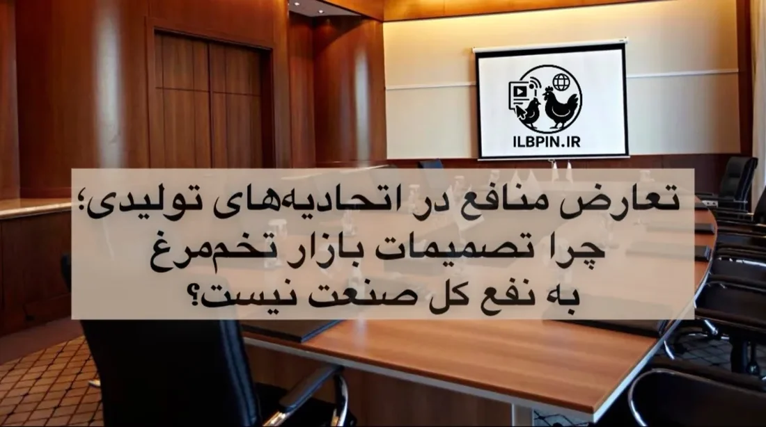 تعارض منافع در اتحادیههای تولیدی؛ چرا تصمیمات بازار تخممرغ به نفع کل صنعت نیست؟