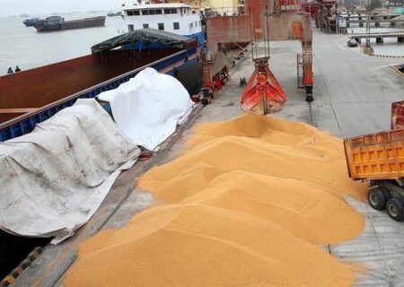 بازار رها شده نهاده‌های دامی قربانی تنش مدیریتی و واردکنندگان قدرتمند!