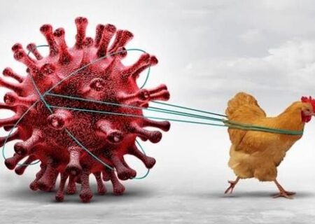 پیشگیری، تنها راه موثر مقابله با آنفولانزا است.