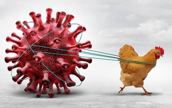 پیشگیری، تنها راه موثر مقابله با آنفولانزا است.