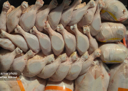 آغاز تولید قراردادی مرغ در گیلان