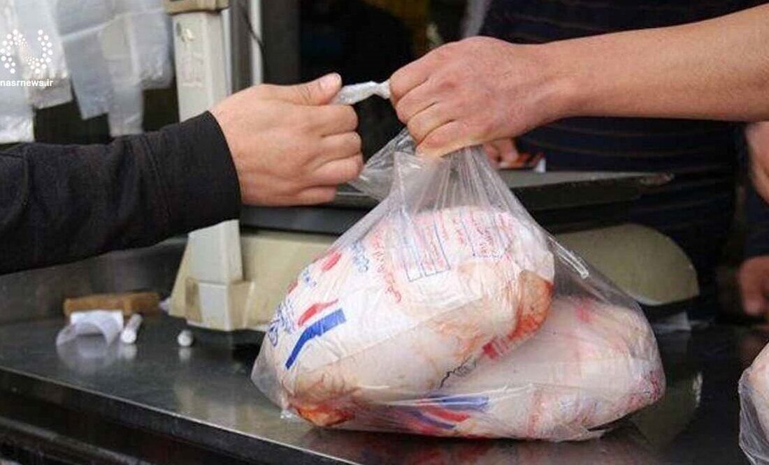 قیمت هر کیلوگرم گوشت مرغ در زنجان به ۱۹۵ هزار تومان کاهش یافت