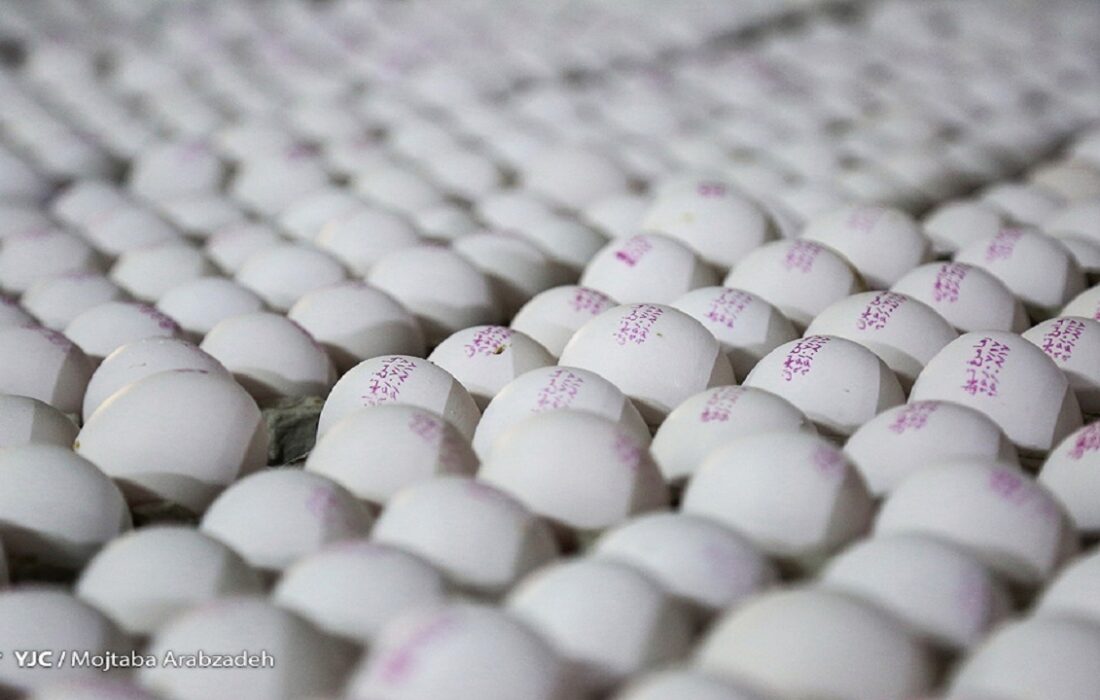 تخم مرغ ارزان شد/ قیمت هرشانه تخم مرغ به ۳۷۰ هزارتومان رسید.