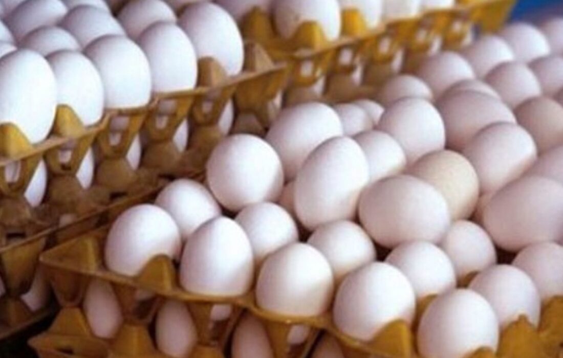 قیمت هر شانه تخم مرغ به کمتر از ۴۰۰ هزار تومان رسید