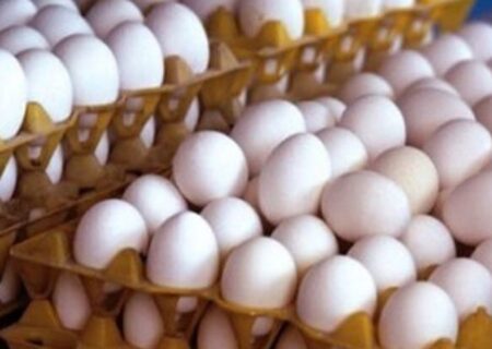 قیمت هر شانه تخم مرغ به کمتر از ۴۰۰ هزار تومان رسید