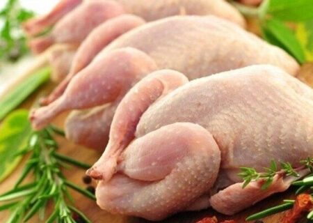 قیمت انواع مرغ ۷ بهمن ۱۴۰۴