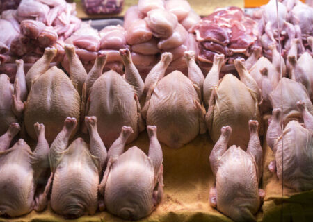 قیمت انواع مرغ ۸ بهمن ۱۴۰۴