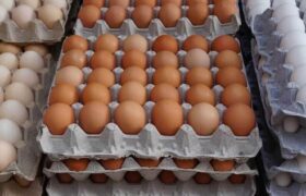 ریزش چشمگیر قیمت تخم‌مرغ در بازار| نرخ جدید اعلام شد.