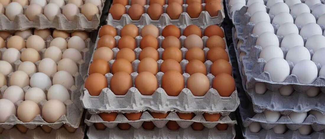 کاهش قیمت تخم مرغ در بازار