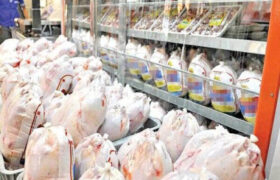 ارزانی به بازار مرغ برگشت