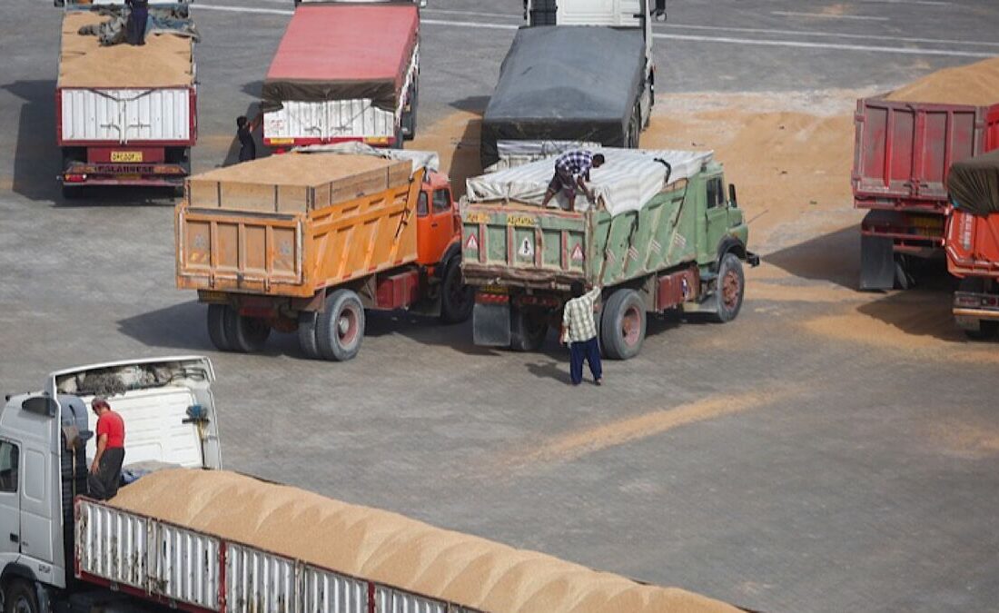 ۱۵ فروند کشتی حامل نهاده های دامی در امیرآباد پهلوگیری کرد.