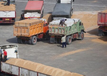 ۱۵ فروند کشتی حامل نهاده های دامی در امیرآباد پهلوگیری کرد.