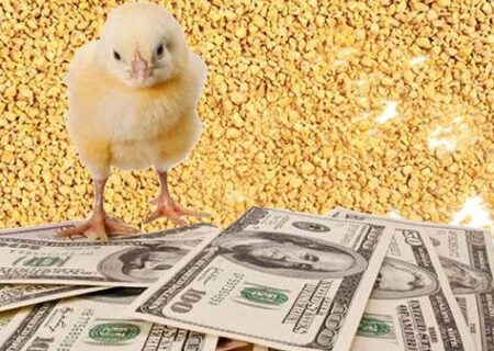 قیمت نهاده‌ها پس‌از حذف ارز ترجیحی مشخص شد