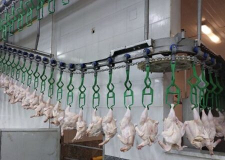 مرغ و تخم‌مرغ ماه رمضان و شب عید را از هر جا می‌خواهید تأمین کنید