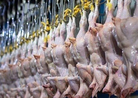 کشتار طیور در کشور ۷ درصد افزایش یافت.