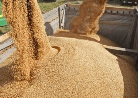 بررسی مشکلات تأمین نهاده‌ها در جلسه اضطراری کمیسیون کشاورزی