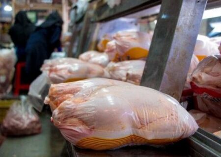 تزریق ۲۵۰ میلیارد تومان تسهیلات به مرغداران گلستان