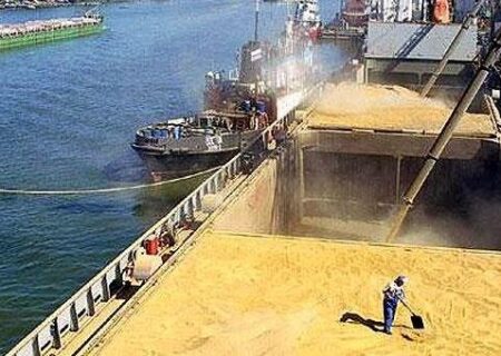 نهاده موجود در بنادر بیش از نیاز کشور است