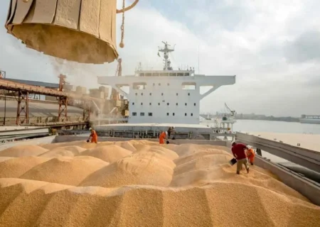 عرضه نهاده‌های دامی ده برابر تقاضا