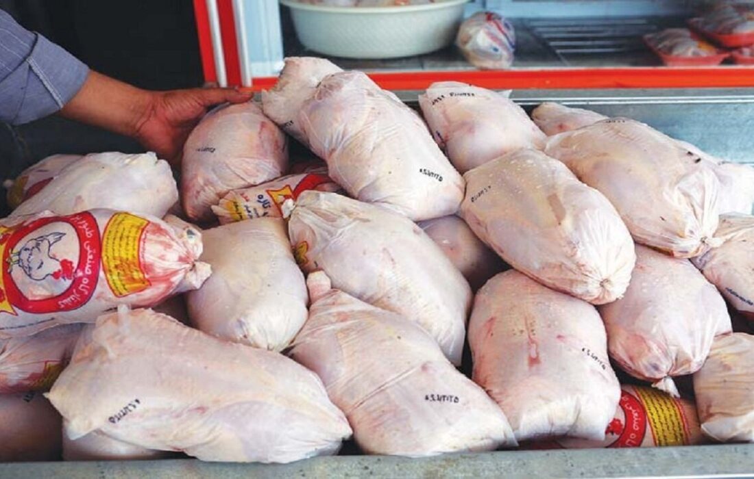 طرح تولید قراردادی گوشت مرغ در فارس آغاز شد