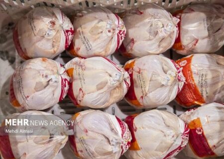اصغری: قیمت مرغ در آذربایجان غربی میانگین به ۲۰۰ هزار تومان رسید