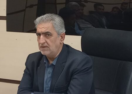 حذف ارز ترجیحی باید انجام می‌شد؛ ثبات به بازار برمی‌گردد