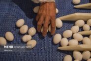 نوسان قیمتی بازار تخم‌مرغ روزانه شد