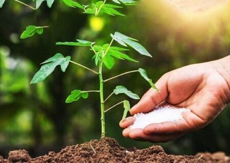 پنج بهره‌بردار کشاورزی آذربایجان‌شرقی برگزیده ملی شدند