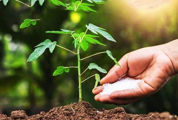 پنج بهرهبردار کشاورزی آذربایجانشرقی برگزیده ملی شدند